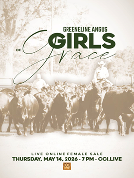 Greeneline Angus