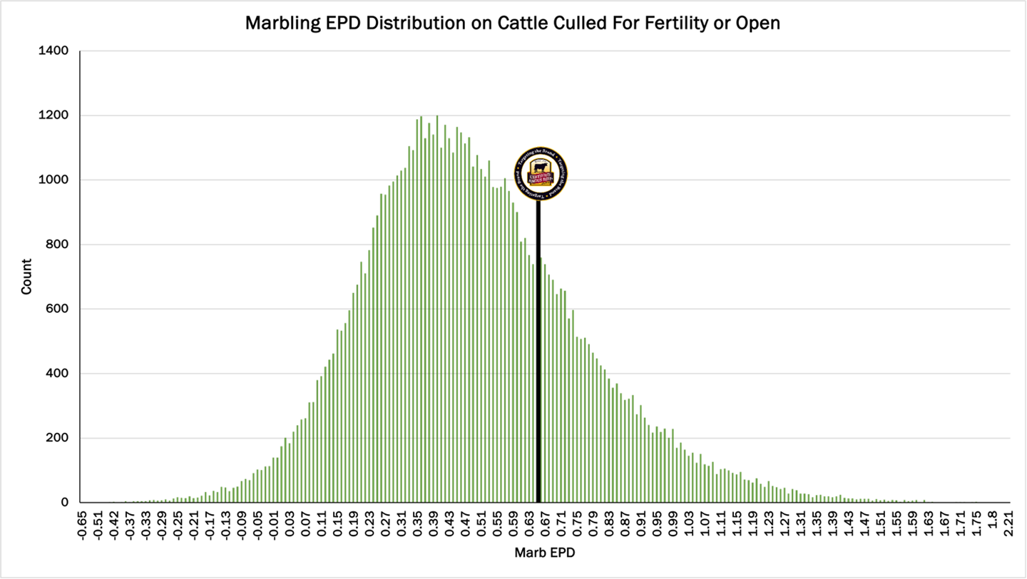 Fig. 1: Marbling EPD distribution of animals culled for being open or for other fertility issues