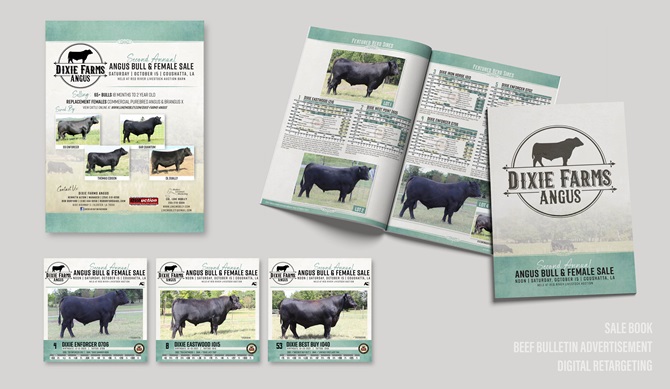 Dixie Farms Integrated Marketing Materials Designed by Angus Media