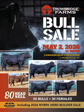 Trowbridge Sale Book