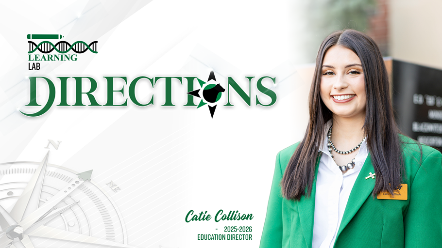 Stepping Out of the Comfort Zone - Catie Collison 