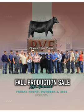 PVF Sale Book Cover