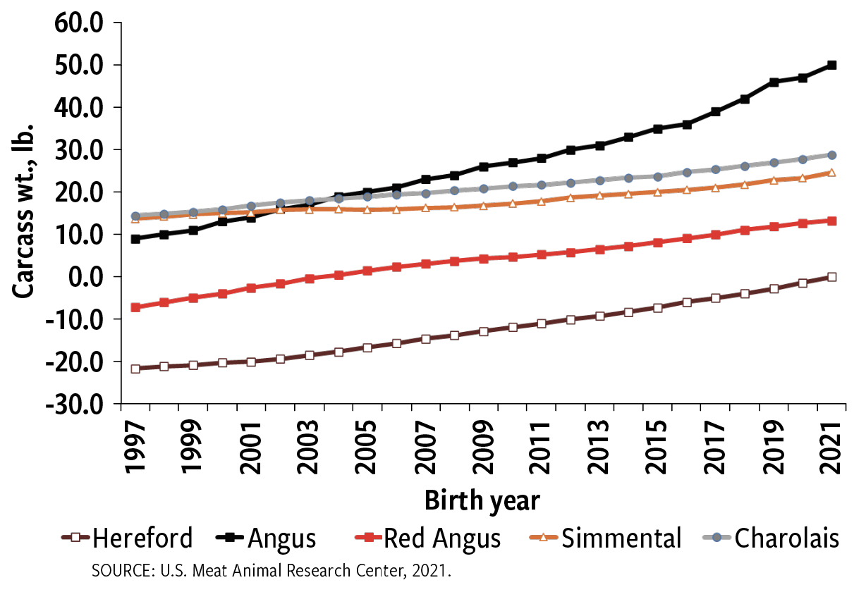 Fig. 3: Genetic trend for carcass wt., lb.