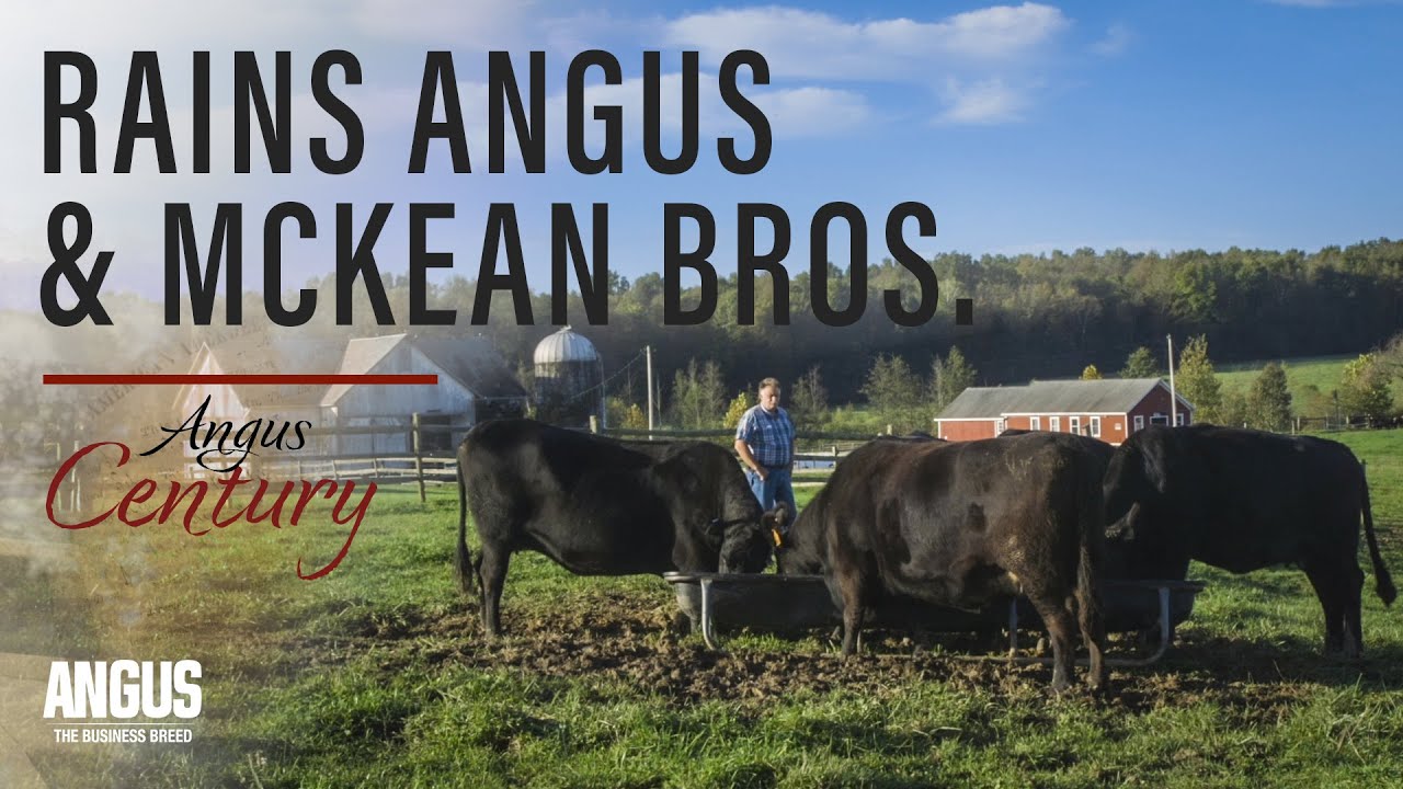 Rains Angus and McKean Brothers - Century Award Winner