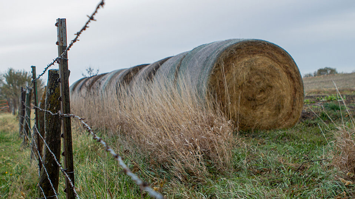 Big Bales