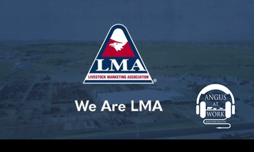 Livestock Marketing Association logo with faded cattle pen image in the background.