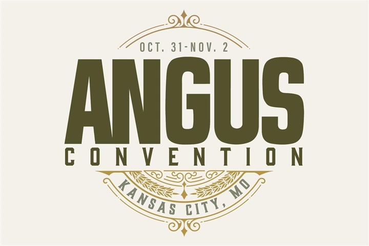 2025 Angus Convention Logo