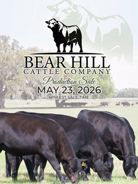 Bear Hill Cattle Co. Sale Book Cover