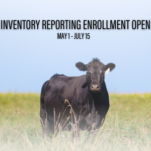 Inventory Reporting enrollment for primarily fall-calving operations runs May 1 – July 15