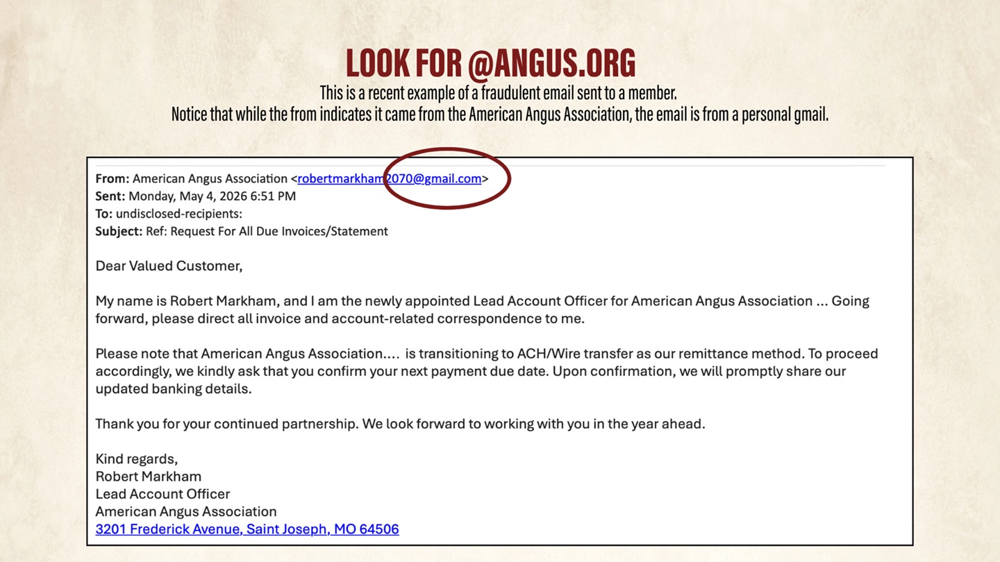 Example of a fraudulent email sent from a scam account to an Angus member.