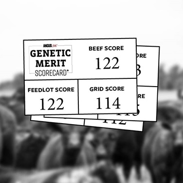 genetic merit scorecard