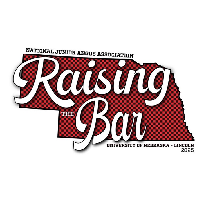 Raising the Bar 2025 logo