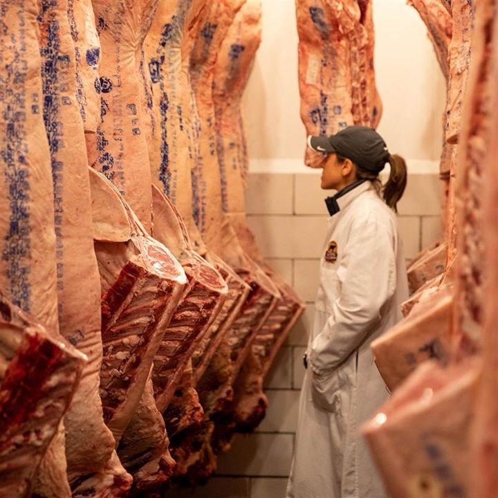 A woman inspecting the quality of hanging beef carcasses at a meat processing facility.