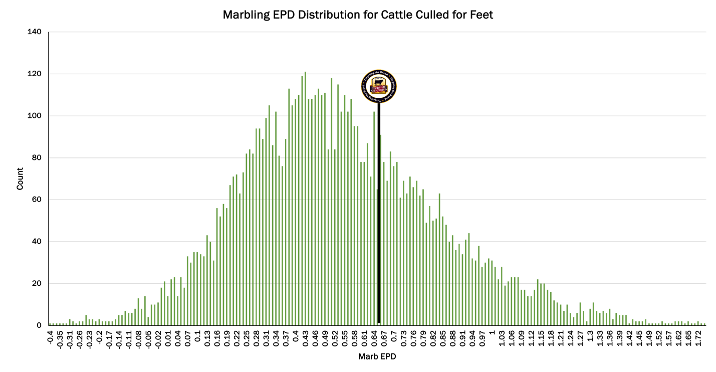 Fig. 2: Marbling EPD distribution of animals culled for foot issues