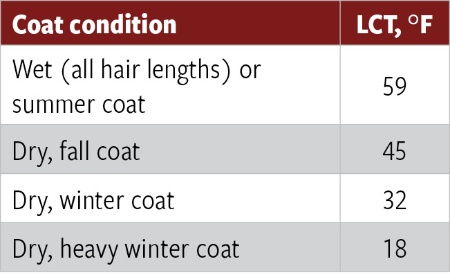 Table 1: Estimated lower critical temperatures (LCT) for beef cows in a 5.0 body condition score