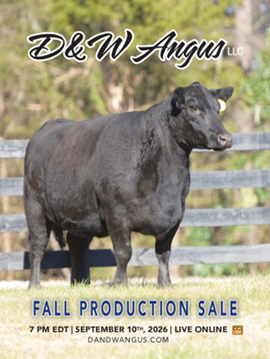 D W Angus Sale Book Cover
