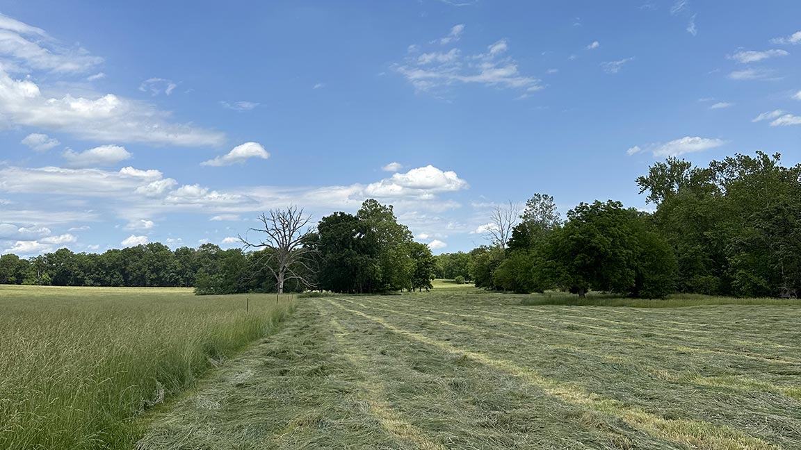 field of cut hay