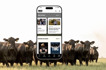 The new Angus Mobile App features sleek design and functionality for users.