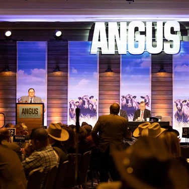 Past Board of Directors President, Jonathan Perry, addresses the members and attendees at the 2025 Angus Convention.