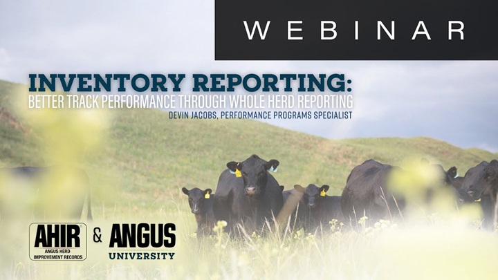 Inventory Reporting: Better Track Herd Performance Through Whole Herd Reporting