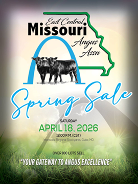 East Central MO Sale Book Cover