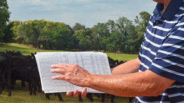 Individual cow records help Jimmy and Tracy Taylor track health, reproductive and genetic information, as well as performance data on retained ownership calves in the feedyard. 