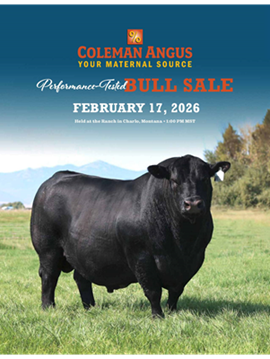 Coleman Angus Sale Book