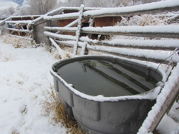 winter water tank