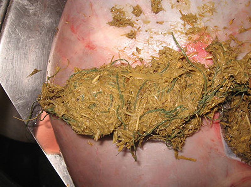 net-wrap from stomach