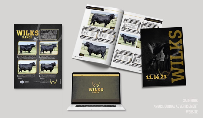 Wilks Integrated Marketing Materials Designed by Angus Media