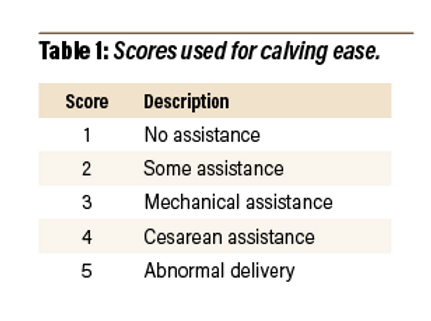 Table 1: Scores used for calving ease