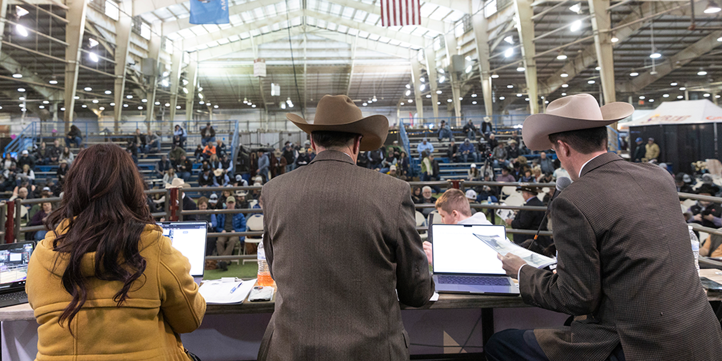 three people sitting at an auction