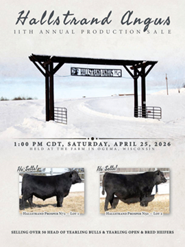 Hallstrand Angus Sale Book Cover