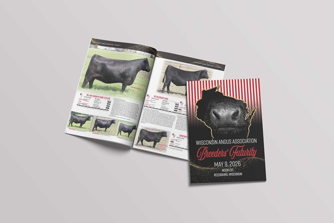 WI Futurity Sale Book Designed by Angus Media
