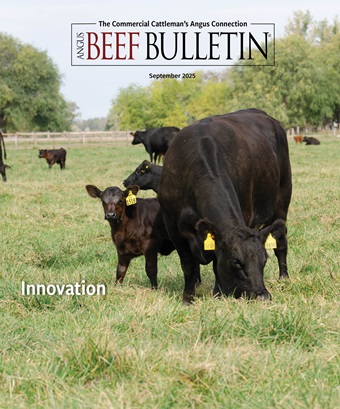 September 2025 cover 