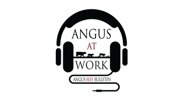 Angus At Work Podcast Logo