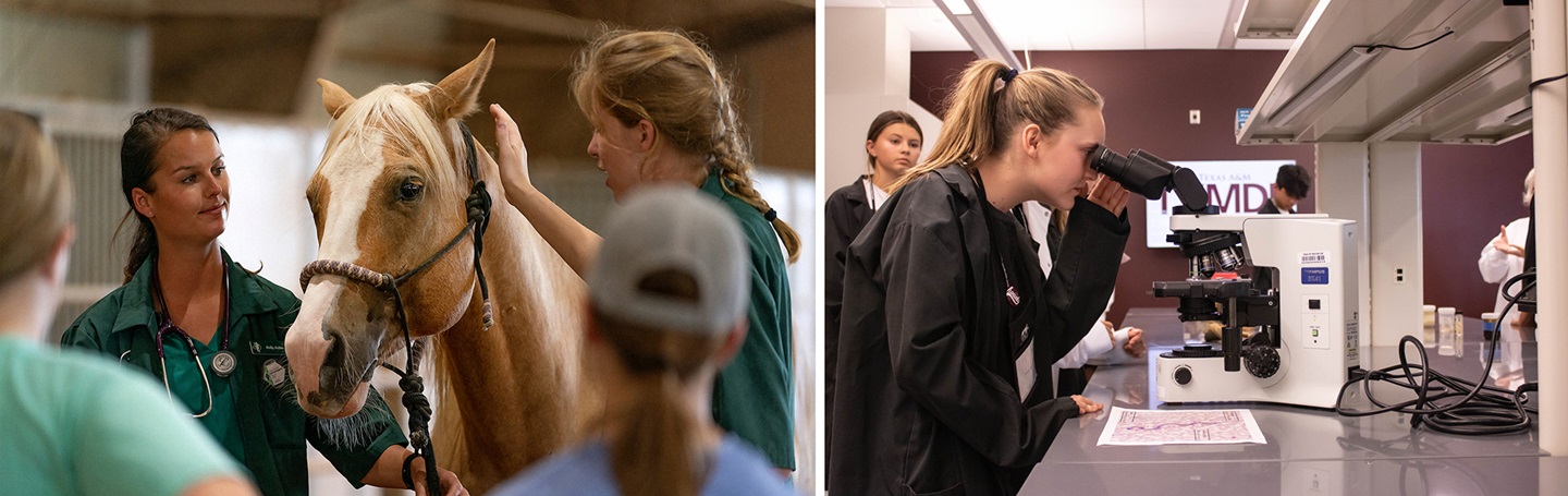 veterinary instruction