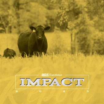 2023 Impact Report