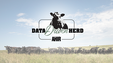 Data Driven Herd program logo.