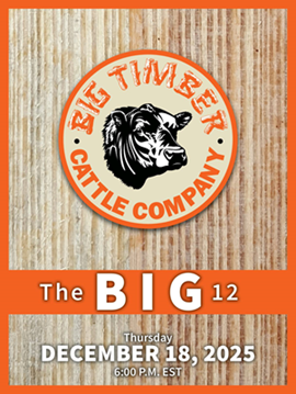 Big Timber Sale Book Cover 