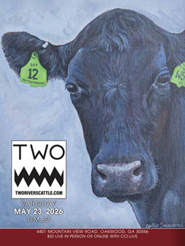 Two Rivers Cattle Company Sale Book Cover