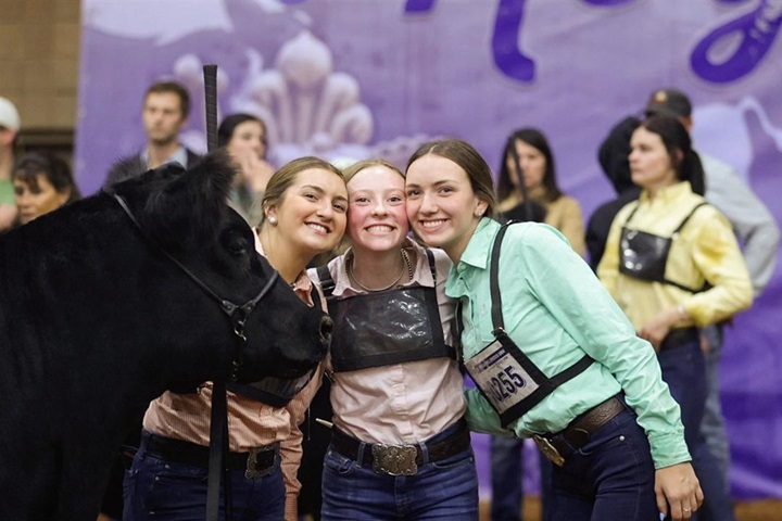 Three girls standing together with their Angus animal at the backdrop of the American Royal show.