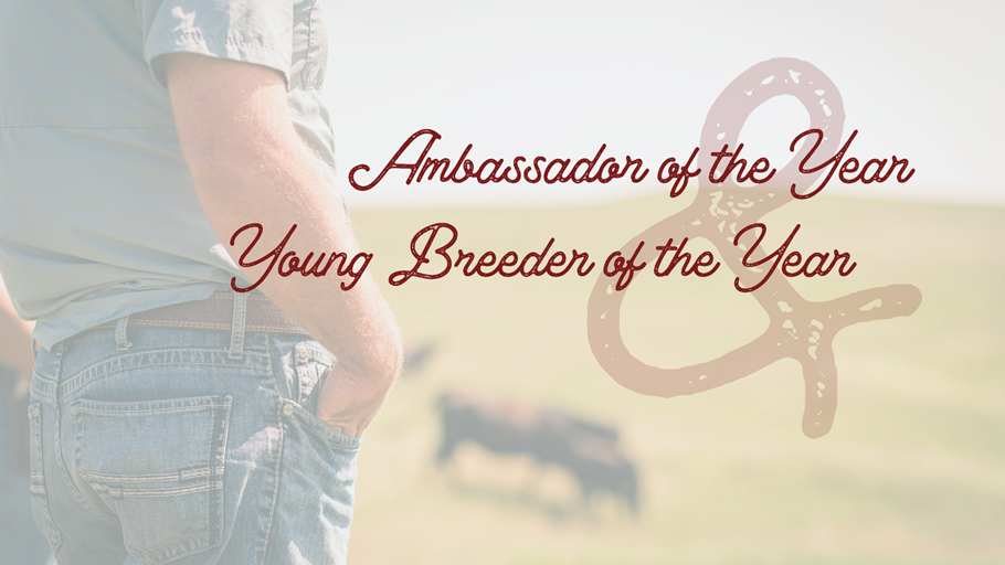 Nominations are open through March 1, 2026, for Angus Ambassador and Young Breeder Awards 