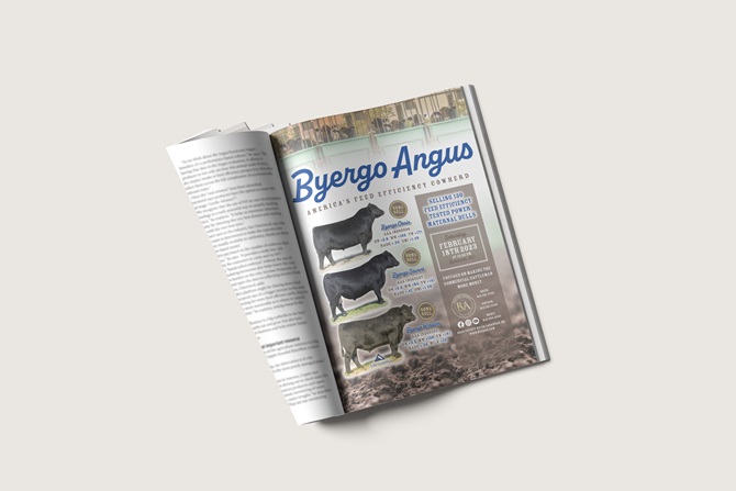 Byergo Ad designed by Angus Media