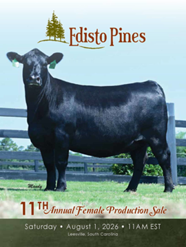 Edisto Pines Sale Book Cover