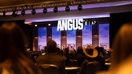 Attendees look towards the stage at the Annual Angus Convention. 