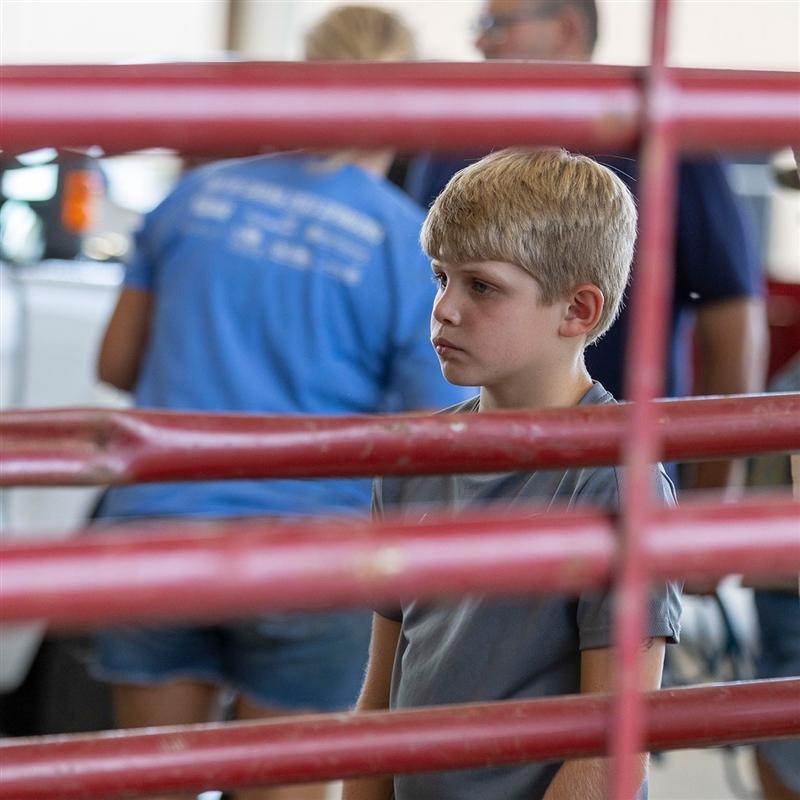 William Rister of Frierson, La., watches closely as live data is collected on his steer during Carcass Contest Check-In. The competition is one of several educational events designed to help young cattle producers develop practical beef industry knowledge.