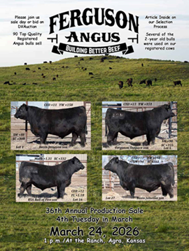 Ferguson Angus Sale Book Cover