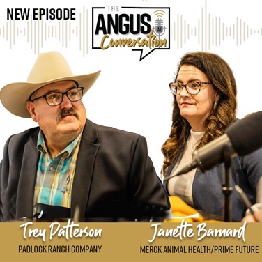 The Angus Conversation