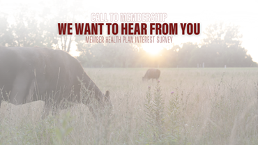 Members are encouraged to fill out the Member Health Plan Interest Survey to help the Association gauge interest in the potential offering.